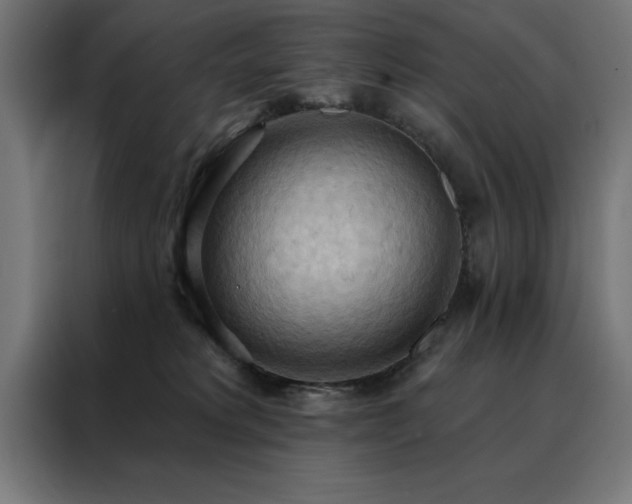 X0000088490229200705221433