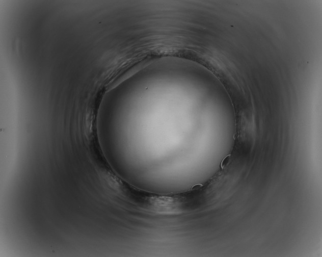 X0000088490230200705221433