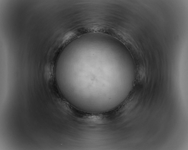 X0000088490236200705221433