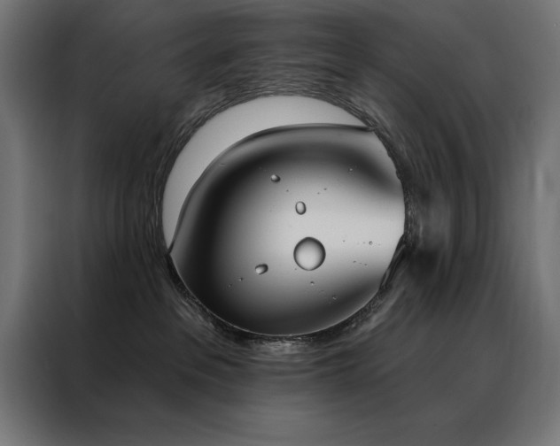 X0000088490237200705221433