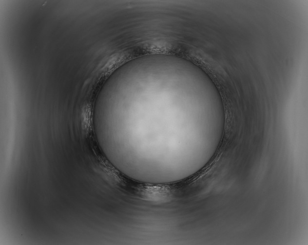 X0000088490240200705221433
