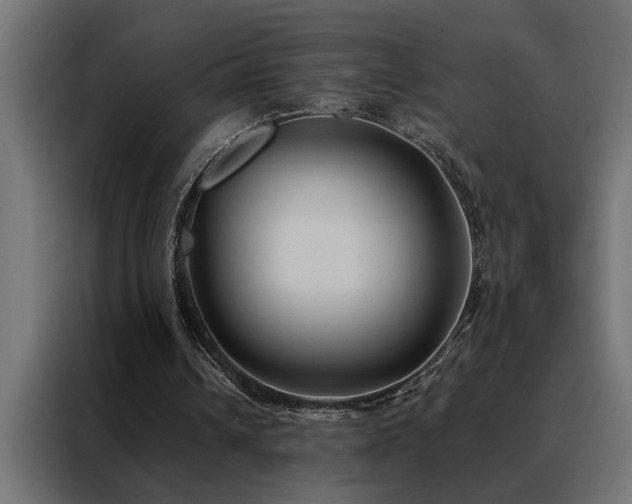 X0000088490242200705221433