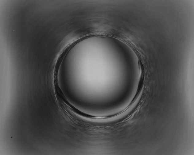 X0000088490244200705221433