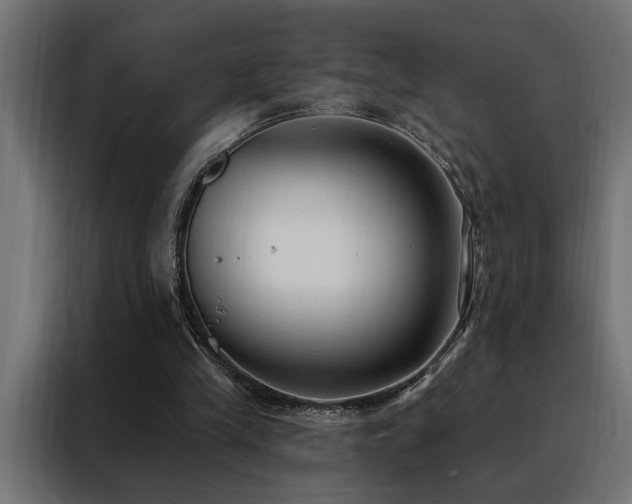 X0000088490245200705221433