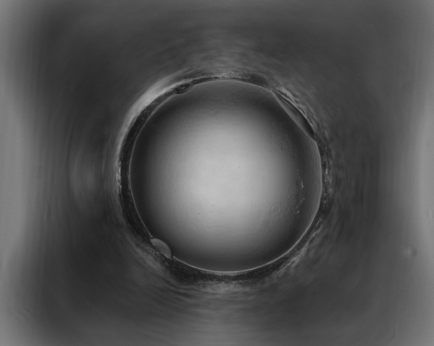 X0000088490246200705221433