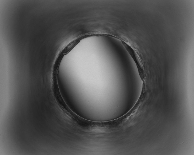 X0000088490248200705221433