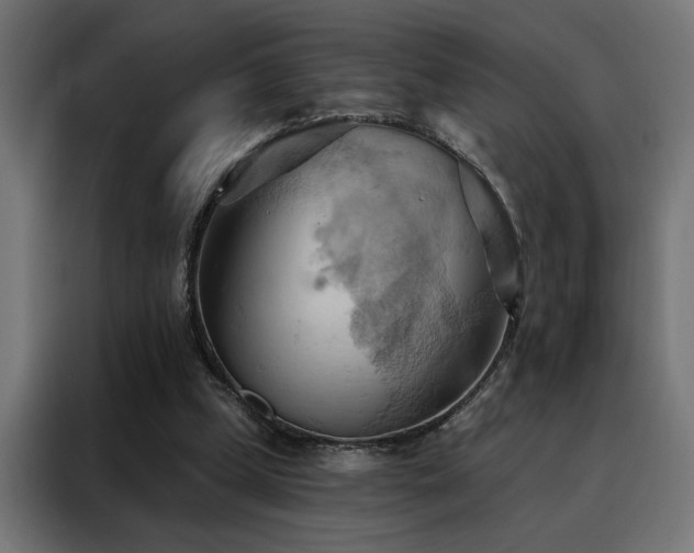 X0000088490249200705221433