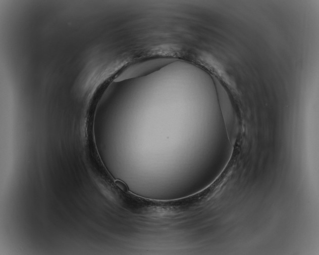 X0000088490250200705221433