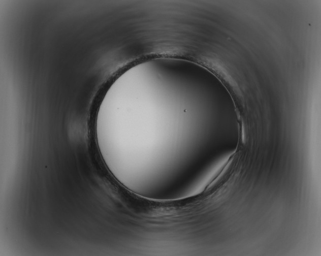 X0000088490252200705221433