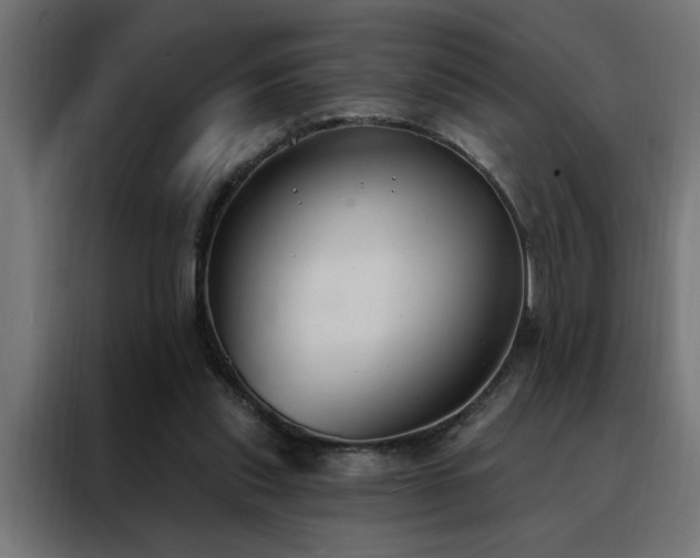 X0000088490253200705221433