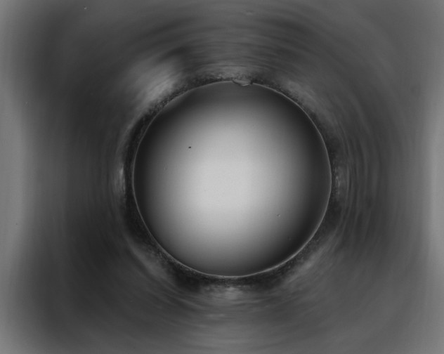 X0000088490254200705221433