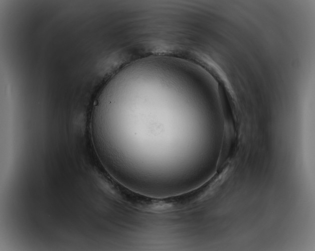 X0000088490257200705221433