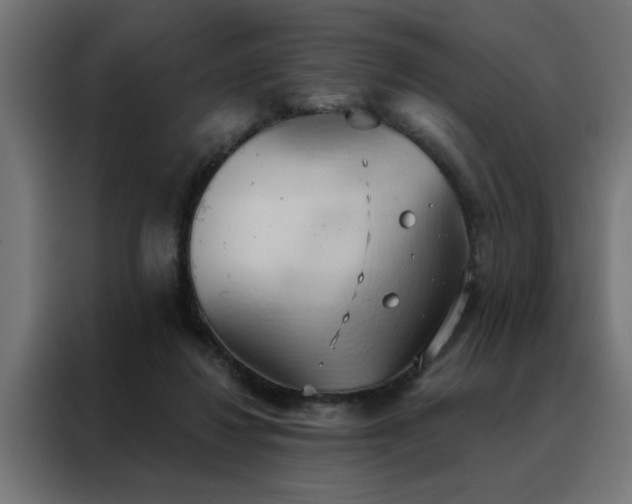 X0000088490260200705221433