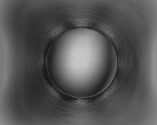 X0000088490261200705221433