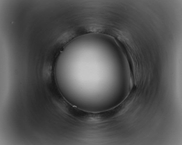 X0000088490263200705221433