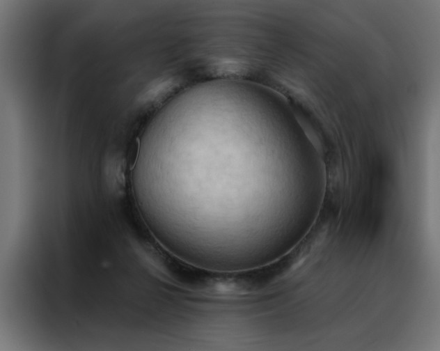X0000088490264200705221433