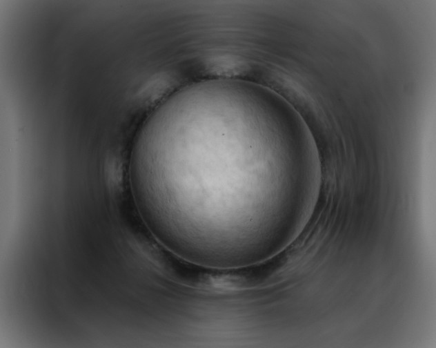 X0000088490268200705221433