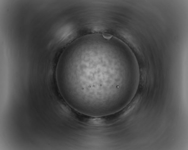 X0000088490269200705221433