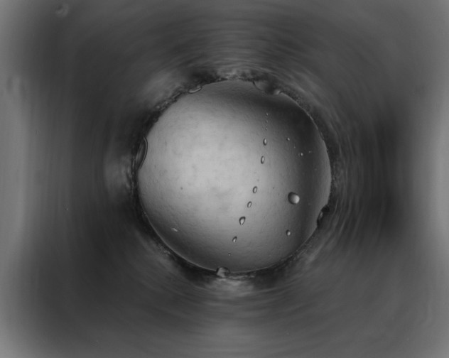 X0000088490280200705221433