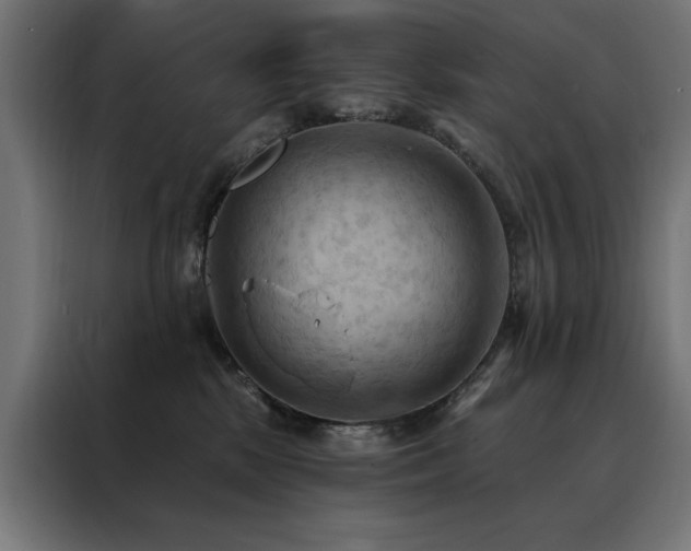 X0000088490281200705221433