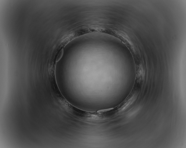 X0000088490285200705221433