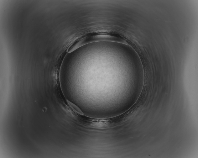 X0000088490288200705221433
