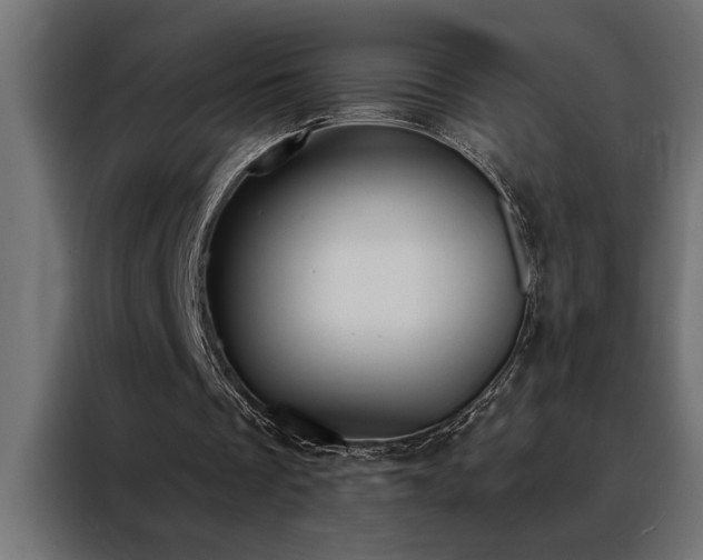 X0000088490289200705221433