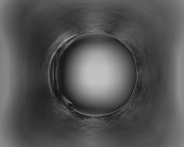 X0000088490290200705221433