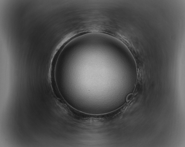 X0000088490292200705221433
