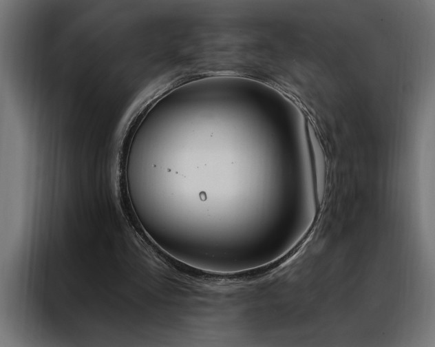 X0000088490293200705221433
