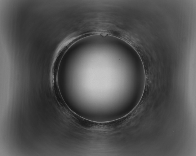 X0000088490294200705221433