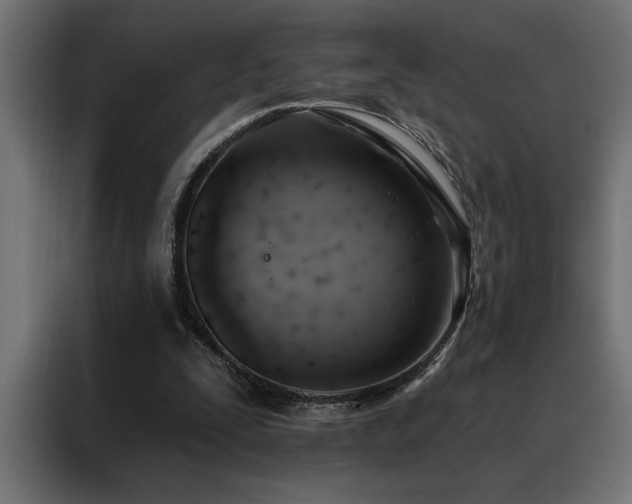 X0000088490295200705221433