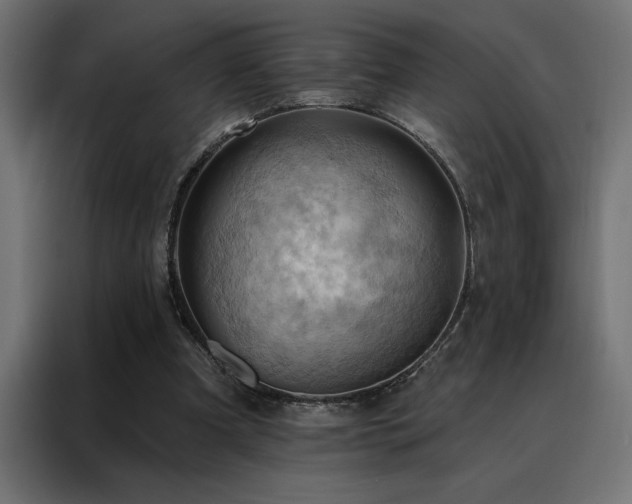 X0000088490297200705221433
