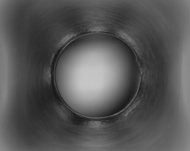 X0000088490298200705221433