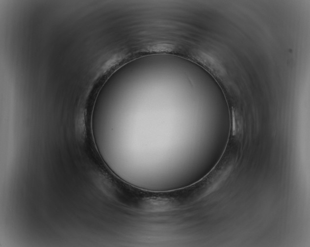 X0000088490300200705221433