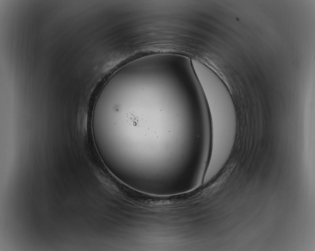 X0000088490301200705221433