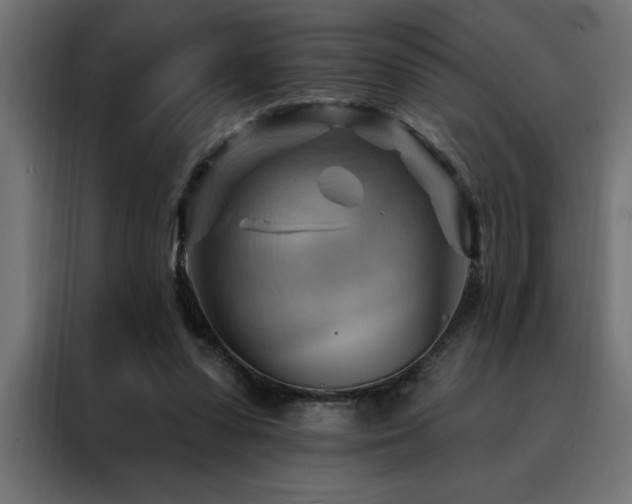 X0000088490303200705221433