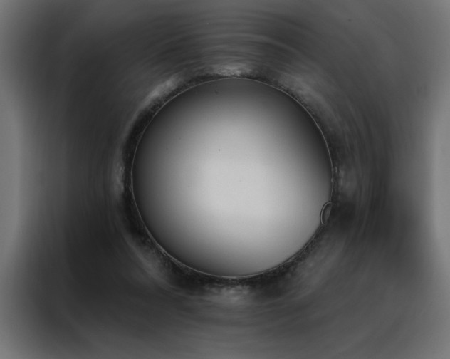X0000088490304200705221432