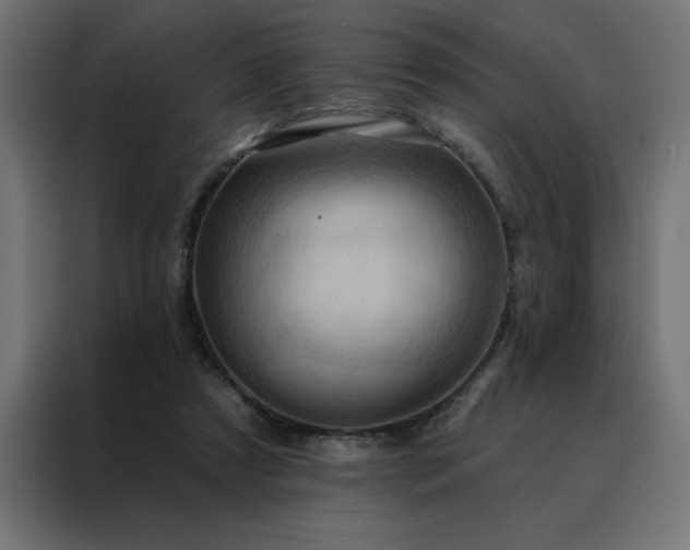 X0000088490305200705221432