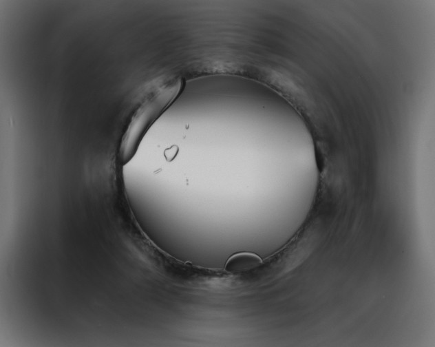 X0000088490306200705221432