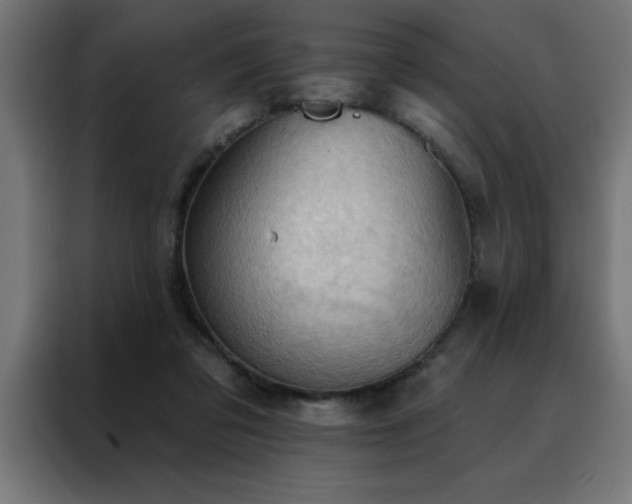X0000088490309200705221432
