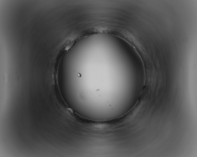 X0000088490313200705221432