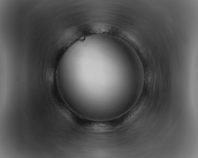 X0000088490315200705221432