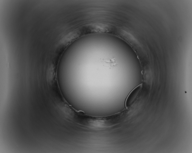 X0000088490318200705221432