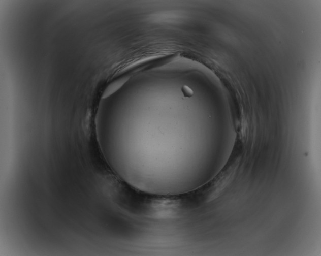 X0000088490319200705221432