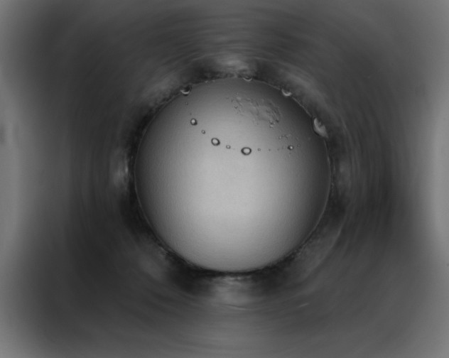 X0000088490320200705221432