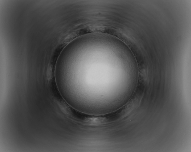 X0000088490323200705221432