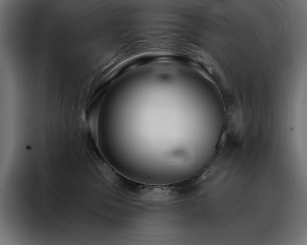 X0000088490329200705221432