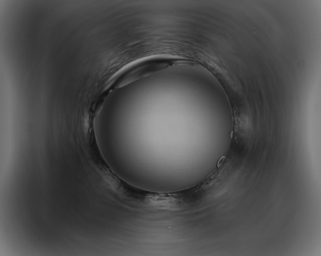 X0000088490331200705221432
