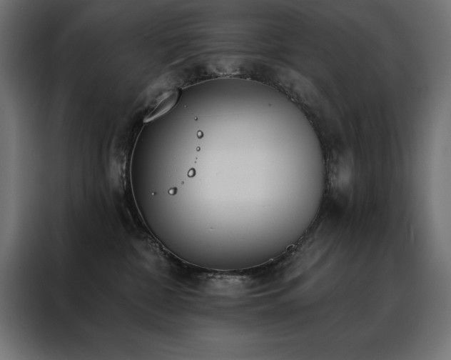 X0000088490332200705221432